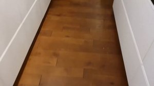 Алиса лиса Идет спать