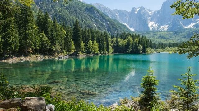 Бабушка внуку подарила квартиру, а мне - ничего. И ждет, что я спокойно отнесусь. Истории из жизни смотреть онлайн