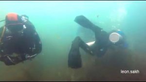 leon.sakh Сахалинский дайвинг Татарский пролив Аскания