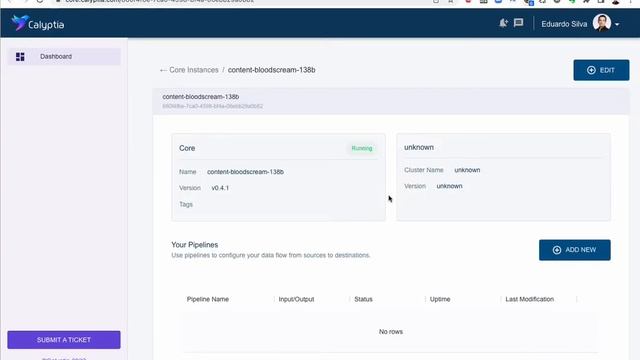 Calyptia Core for Docker Desktop смотреть онлайн