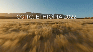 IGF 2022 in Addis Ababa