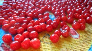 Заморозка калины на зиму