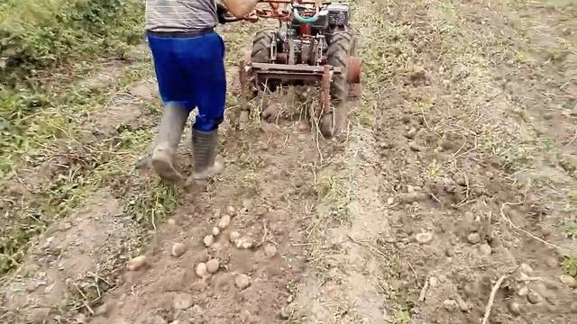Простая картофелекопалка на колесах с цепями , но не  