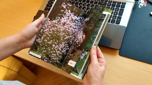 Рододендроны для Северо-Запада смотреть онлайн