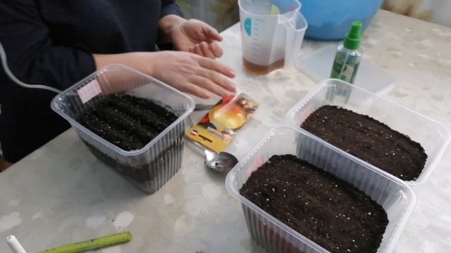 Купили дом на юге. Делаем ремонт, сеем лук, готовим пиццу на ужин. смотреть онлайн