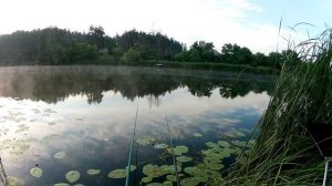 Утренняя Рыбалка на Поплавок