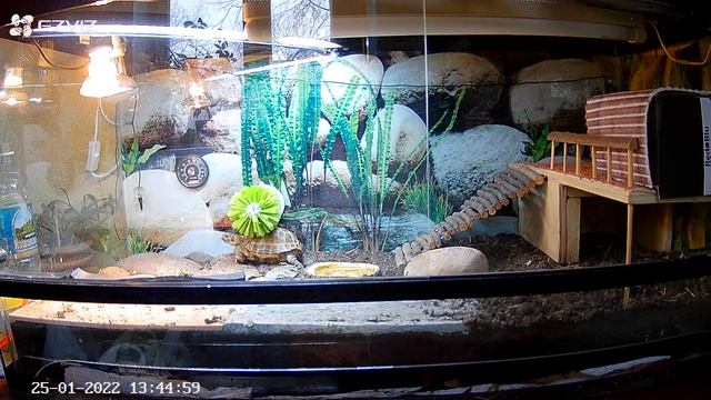 ламбада смотреть онлайн