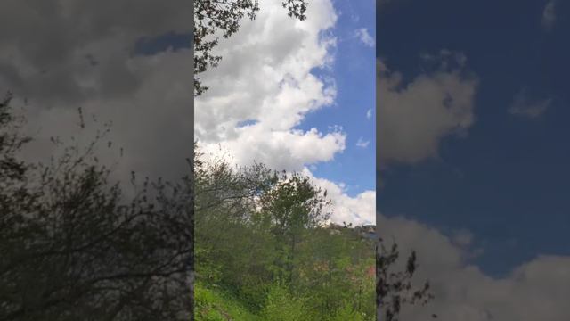 Не пропусти весну!🌷Наблюдай! Дыши! Живи! смотреть онлайн