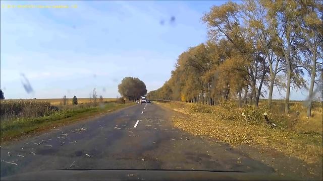 Упало дерево на дороге. Не в то время, не в том месте! смотреть онлайн