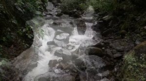 Медитативная Церемония - музыка тропического леса | Meditative Ceremony - Rainforest music