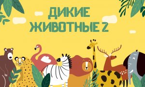 Wild animals in Russian, Vocabulary for kids, Les animaux sauvages en russe, Дикие животные.
