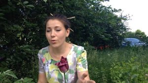 Старинная японская народная песня "Среди цветов"