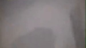 Шок! Ребенок упал в клетку к гориллам  А они его спасли от смерти!!! Смотреть всем!