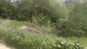 ОКОРОКОВО/ЭКСКУРСИЯ ПО ДЕРЕВНЕ/КАК ЖИВУТ ЛЮДИ