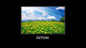 почему едет он а не я