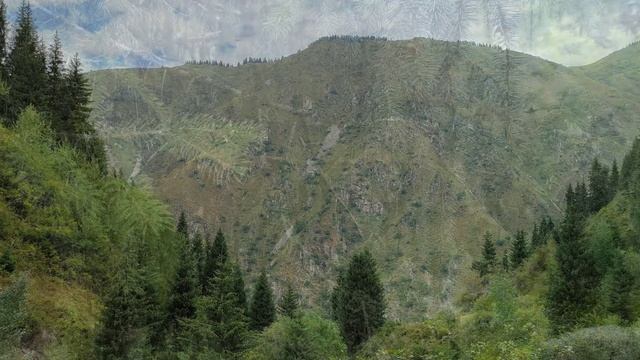 Медитация Афирмация. Моя реальность. смотреть онлайн