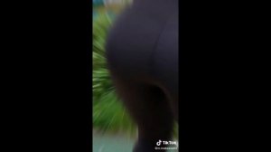 Сиси и попы в ТикТок|Лучшие девушки в ТикТок|Самые красивые девушки в ТикТок