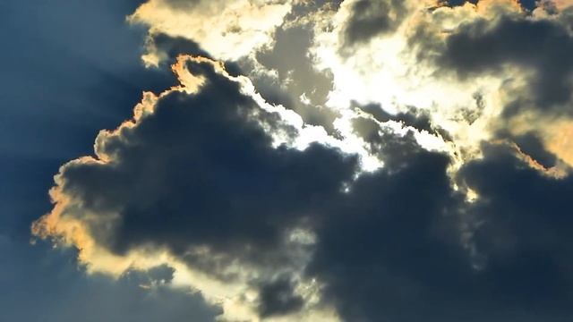 Из-за тебя. Автор текста Елена Гай. Стихи.