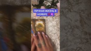 ЛИЧНАЯ ЖИЗНЬ В НОЯБРЕ ??