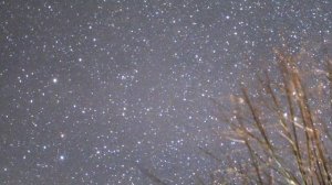 Astrofotografia en Punta Indio - Cielos Argentinos