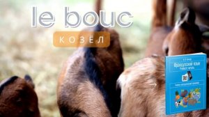Название животных на французском языке. Ферма. Деревня.