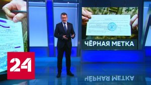 Черная метка: Киев пустился во все тяжкие - Россия 24