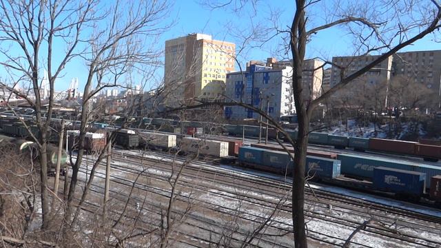 Владивосток, Эгершельд