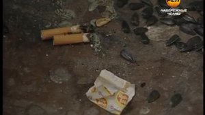 Дебоширы по соседству