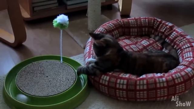 ВЕЩИ С ALIEXPRESS, ОТ КОТОРЫХ ТЫ ОФИГЕЕШЬ, ЛУЧШИЕ ВЕЩИ С АЛИЭКСПРЕСС смотреть онлайн