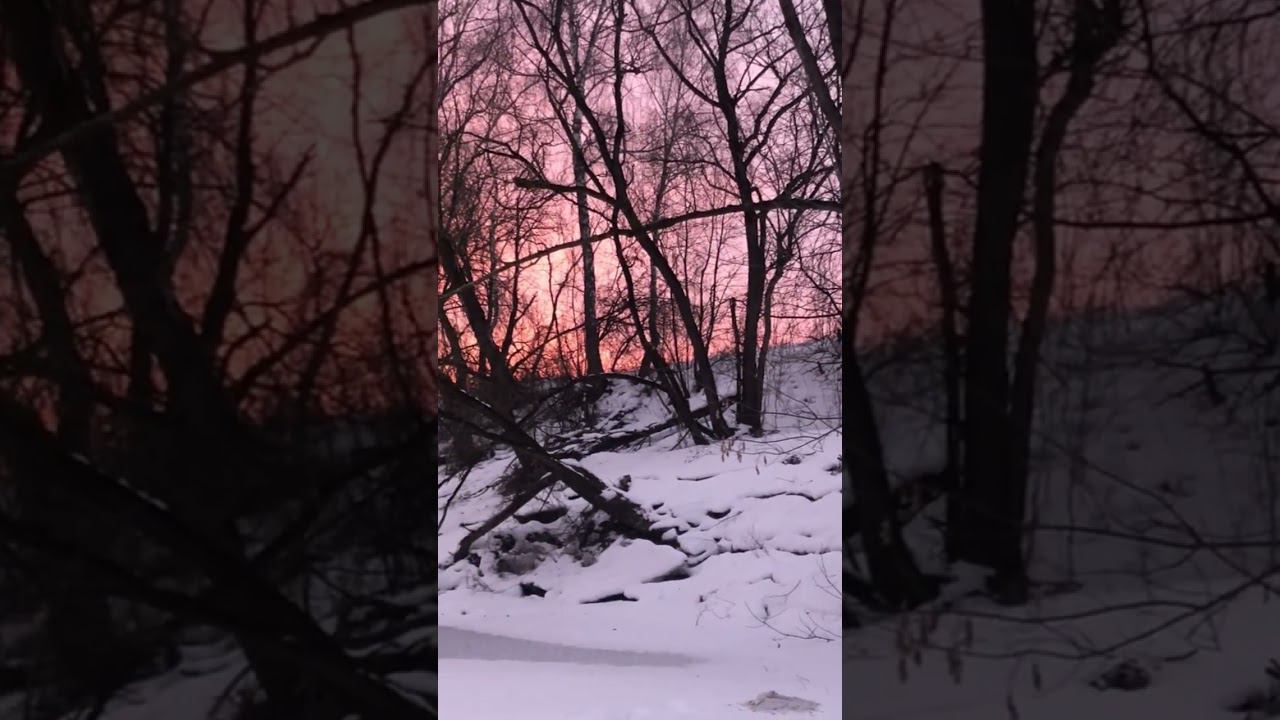 Такую КРАСОТУ только на РЫБАЛКЕ увидишь смотреть онлайн