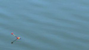 Ловля сома в грозу на квок!! На второй день клевал САЗАН! Рыбалка супер!