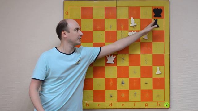 Мат в два хода Тонкий нюанс в шахматах смотреть онлайн