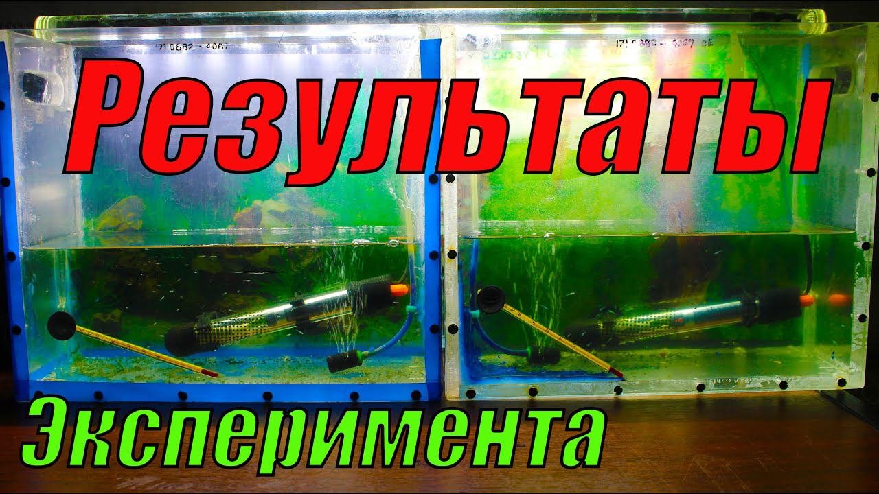 Результаты эксперимента с аквариумными рыбками!