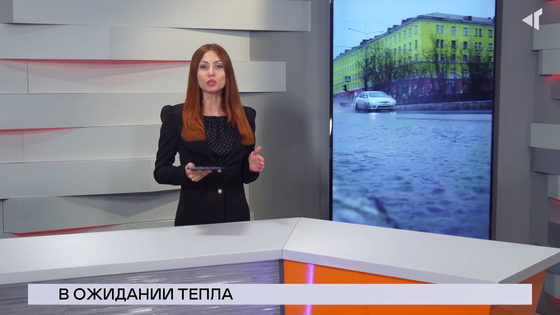 19.05.23.«Новости Северного города».В ожидании тепла. От «вершков» до «корешков». Экспертное мнение.