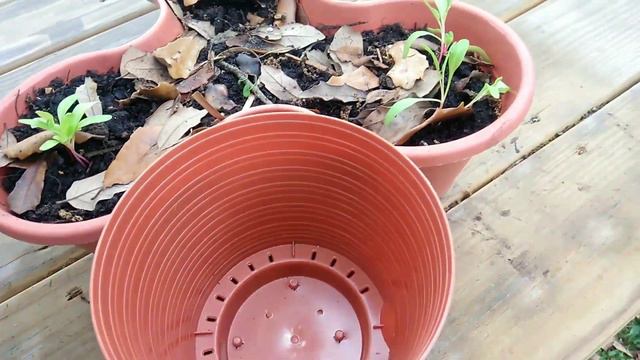 DIY Vertical Garden | Stackable Planter | Dollar Tree DIY