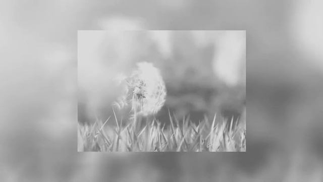 RY401QASTROD - PETUNIA VOL:1 смотреть онлайн