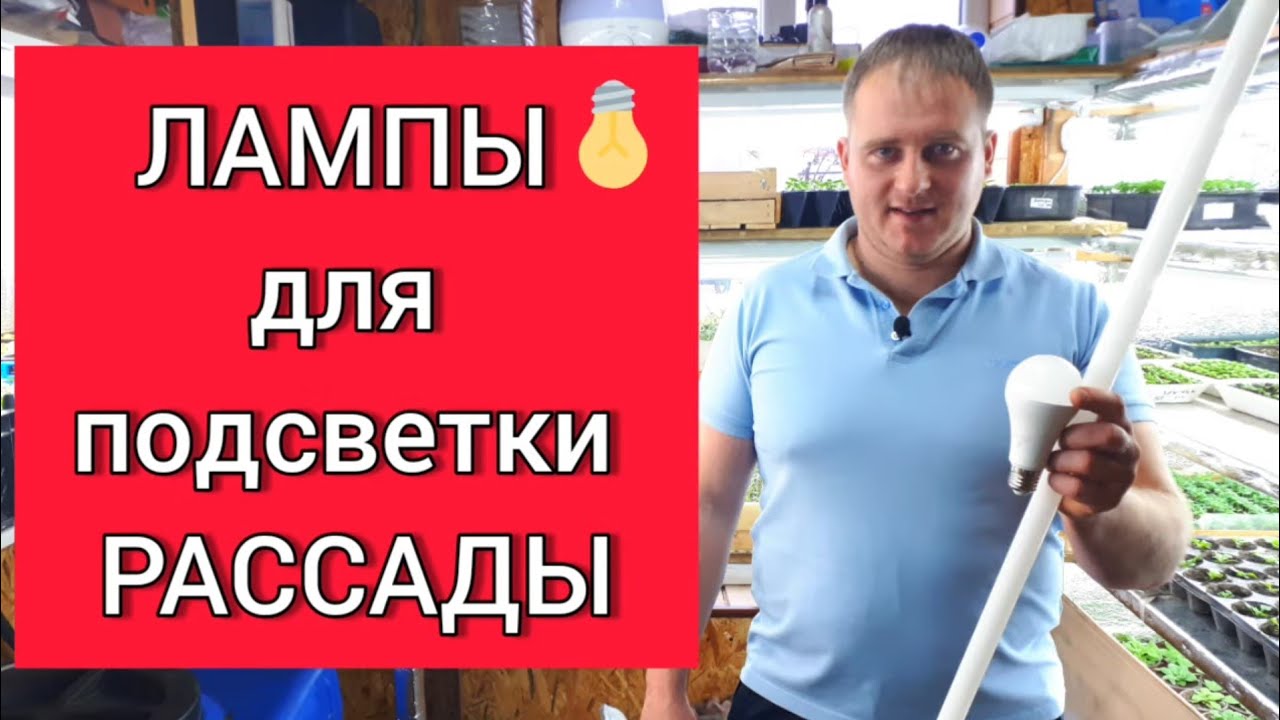 Лампы для подсветки рассады, какие есть, как сделать в домашних условиях, чем подсветить рассаду?