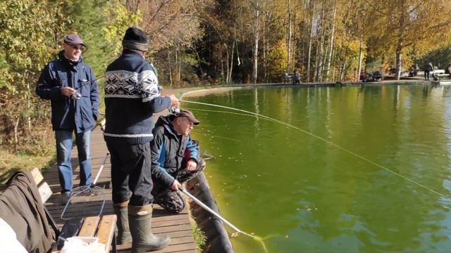 Форель . Рыбалка в пруду с резиновыми берегами . смотреть онлайн