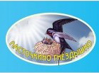 _Видеопутешествие по детскому саду №36 _Ласточкино гнёздышко г. Новоуральск_