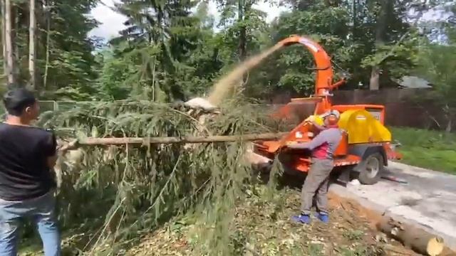 350 СДБ измельчитель елок дробилка веток. Измельчение в щепу любых пород дерева диаметром до 30 см.