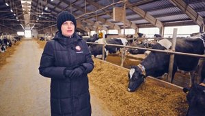 6 популярных видов подстилки для коров | Содержание КРС | Молочное животноводство