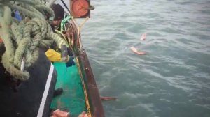 Один из Самых Интересных Рыбалок в Море на - КРЕВЕТОЧНУЮ РЫБУ КОНГРИО