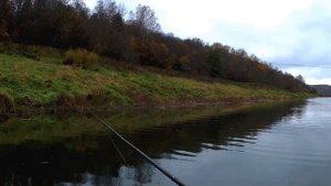 Ловля щуки осенью на Угре. Mottomo Aringo.