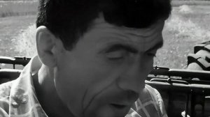 1976 год. Заводоуковский район. Уборка ржи
