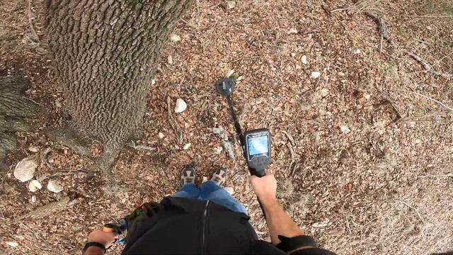 nokta legend 6" coil around the old oak trees #1 смотреть онлайн