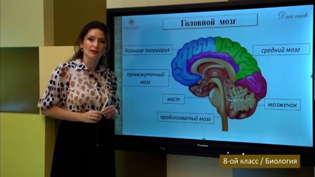 “Dərs vaxtı”: 8-ci sinif dərsləri (rus bölməsi) (12.11.2021) смотреть онлайн