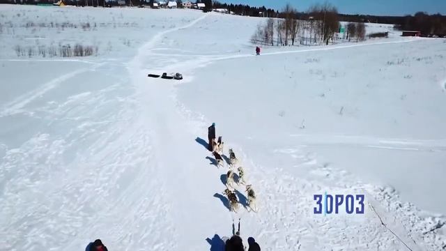 Хаски деревня Рузская Аляска смотреть онлайн