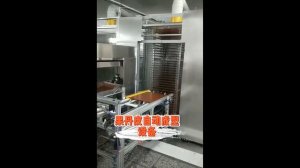 Линия производства пастилы (Китай)