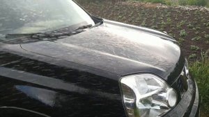 Вивальди - лето - автомобиль