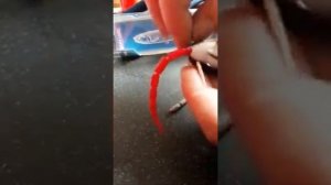 Приманка мышь для рыбалки #Shorts